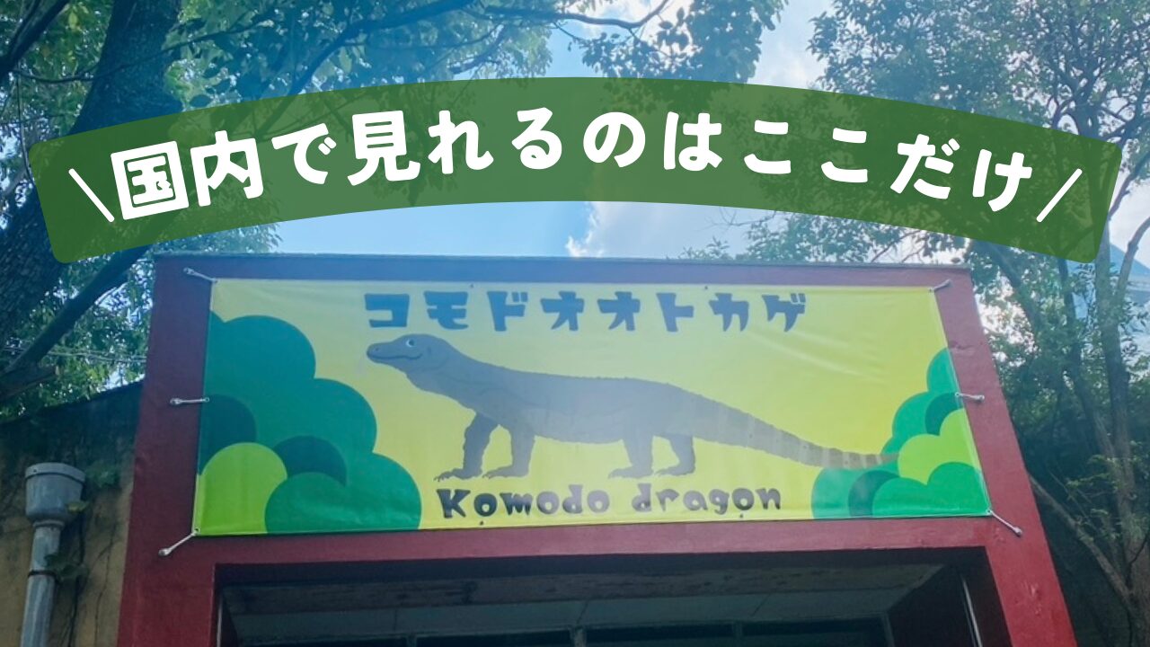 東山動物園　タロウ